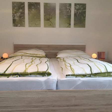 Haus Beate, Fewo Im Bienenparadies Kirchberg  외부 사진