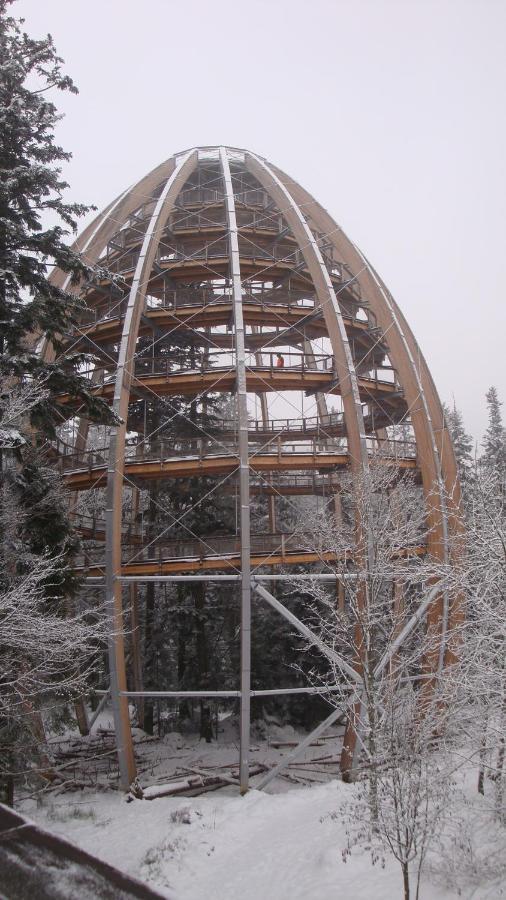 Haus Beate, Fewo Im Bienenparadies Kirchberg  외부 사진